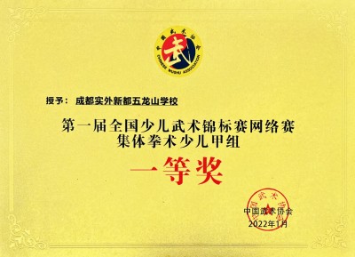 全國少兒武術集體拳術少兒甲組一等獎